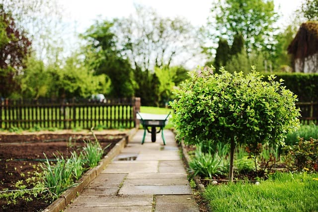 Guide d'Achat Benne Agricole : Comparatif et Conseils