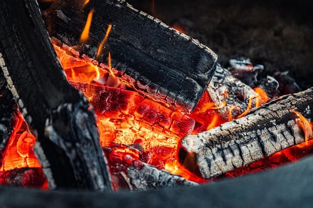 Guide d'achat pour barbecues charbon professionnels