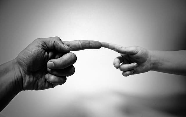Contacts culture institutionnels : Guide d'achat