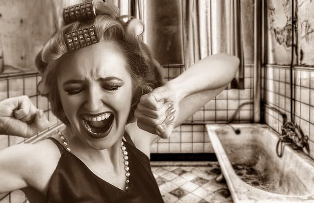 Choosing Professional Renovation Services: Complete Guide