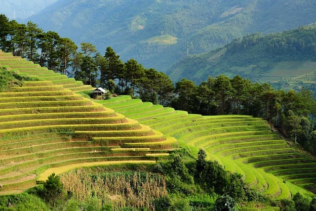 Eco-Friendly Travel Destinations Buying Guide