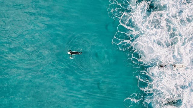 Comment choisir la combinaison de surf idéale