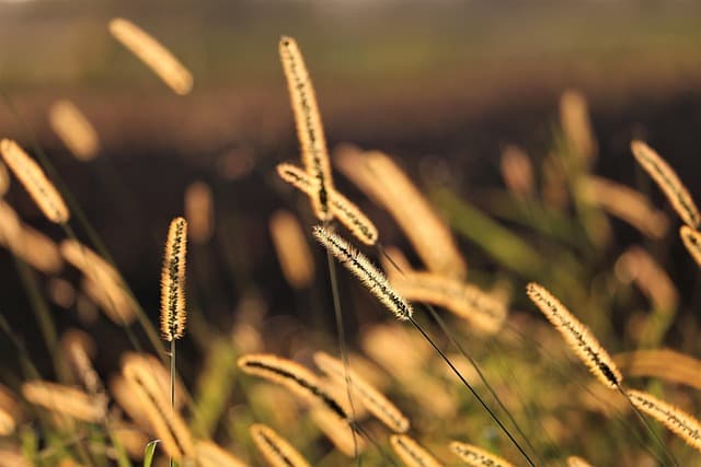 Guide d'achat : Éclairage Extérieur Ambiance